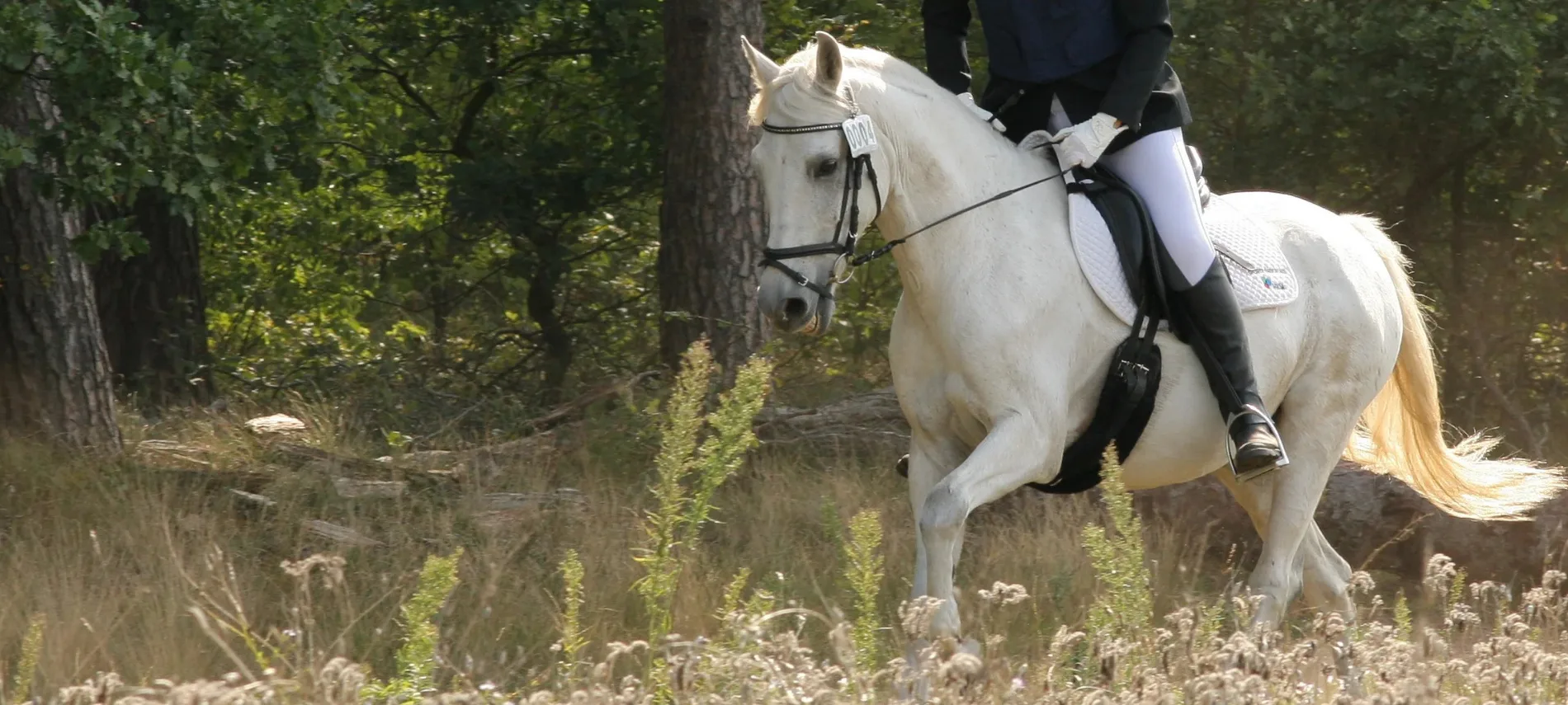 Caballo blanco con jinete — joyería conmemorativa de diamantes de cenizas Sakti Atelier